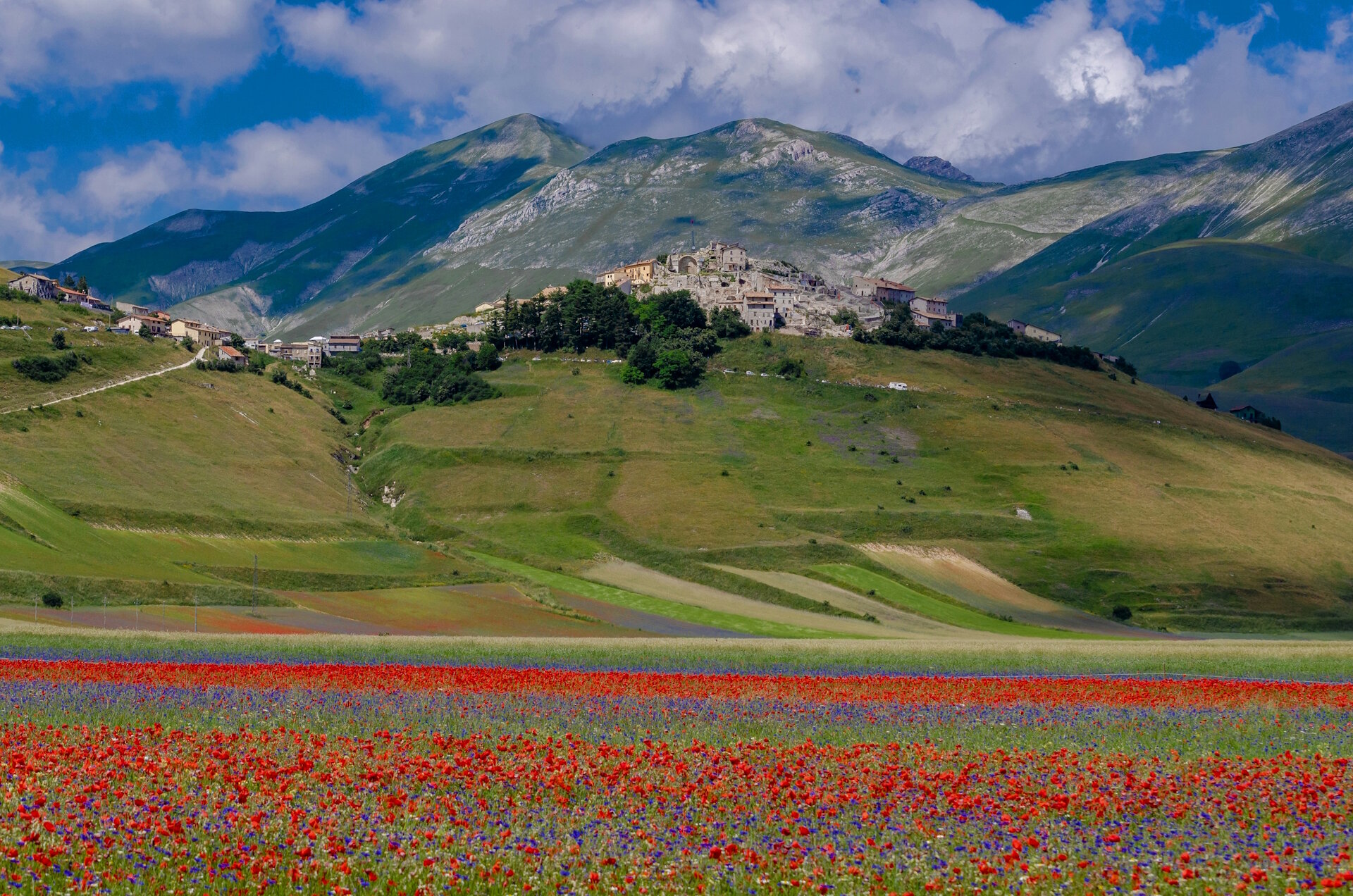 The Blooming Wonders Of Umbria Visiting Castelluccio s Mesmerizing 